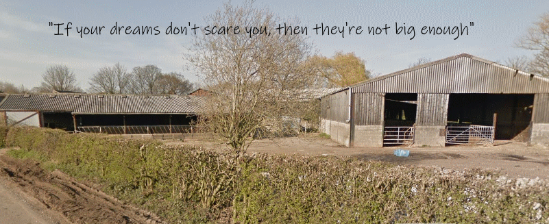 class_Q_blog_Yew_Tree_Farm_story.png class_Q_blog_Yew_Tree_Farm_story.png